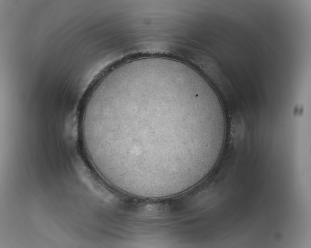 X0000113260584200909171651