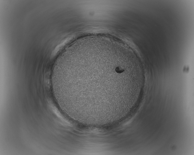 X0000113260585200909171651