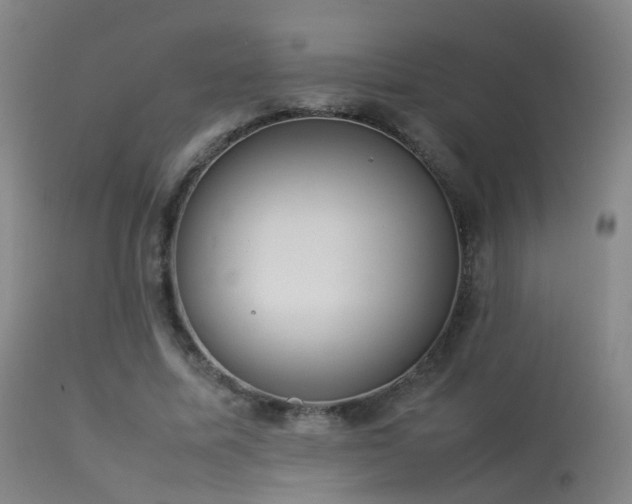 X0000113260587200909171651