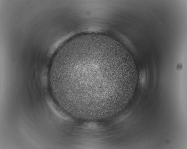 X0000113260588200909171651