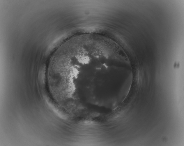 X0000113260590200909171651