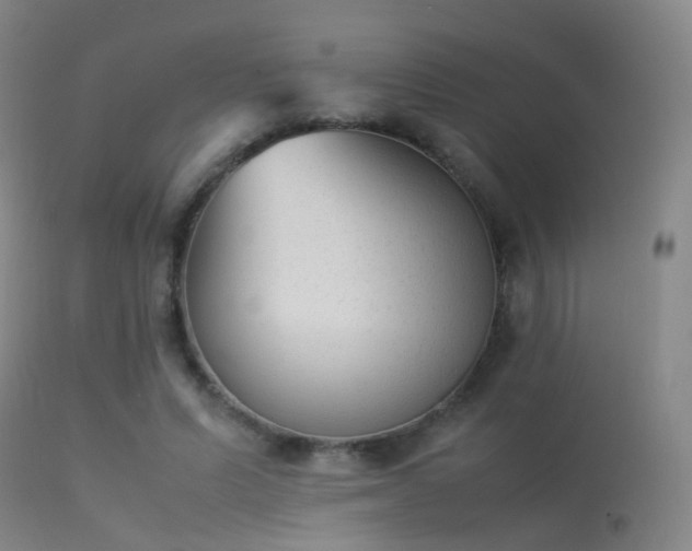 X0000113260591200909171651