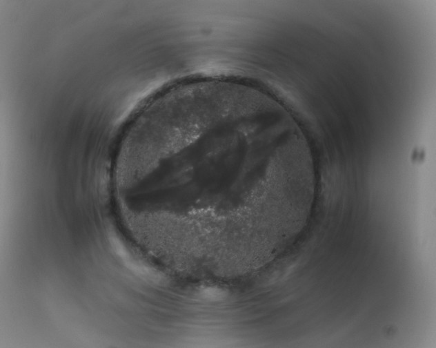 X0000113260592200909171651