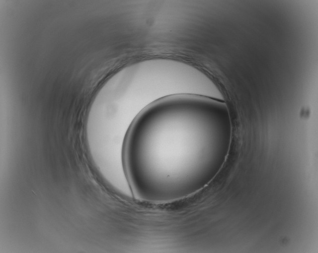 X0000113260593200909171651