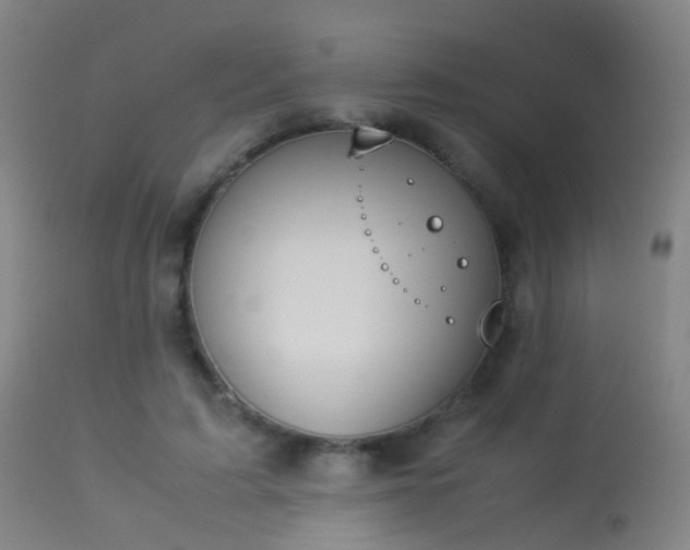 X0000113260595200909171651