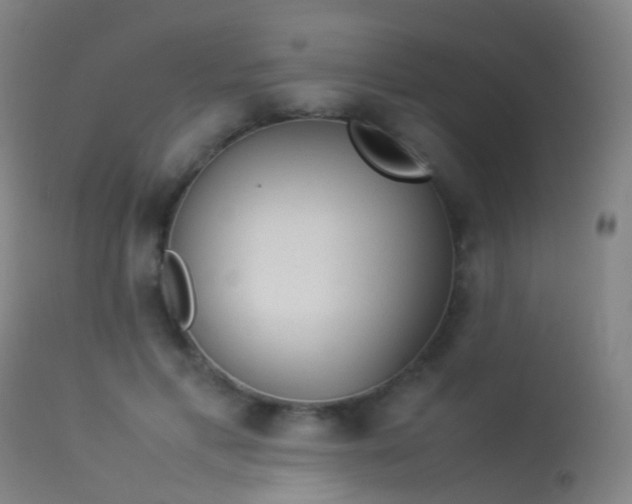 X0000113260597200909171651