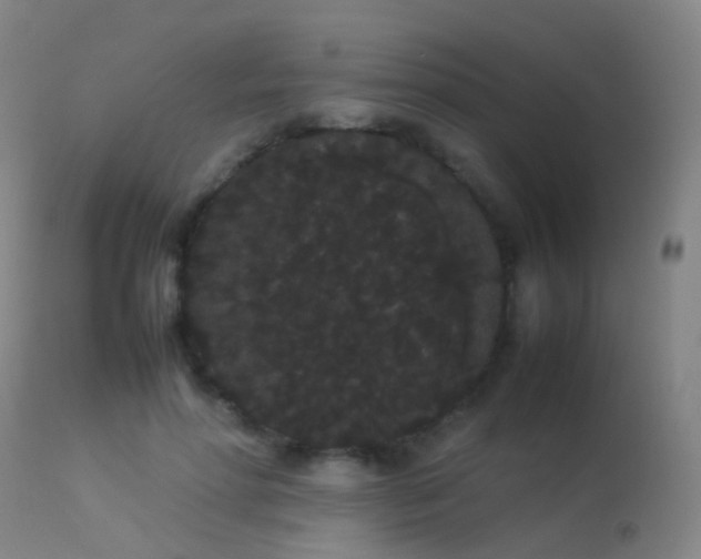 X0000113260598200909171651