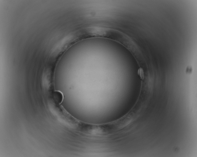 X0000113260600200909171651