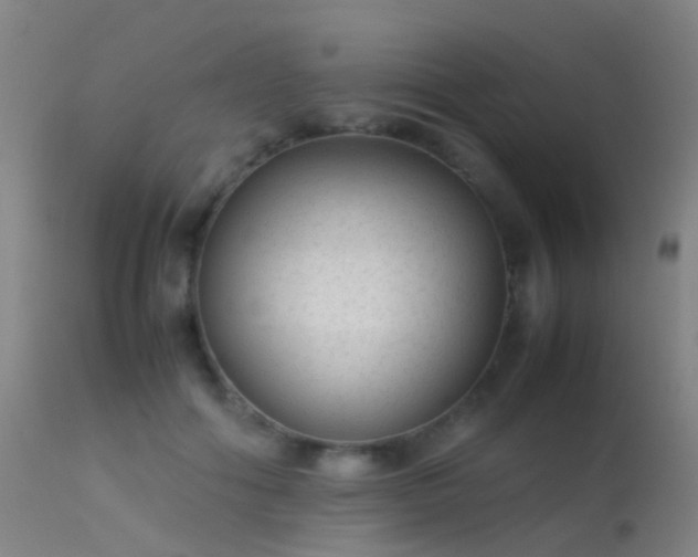 X0000113260602200909171651