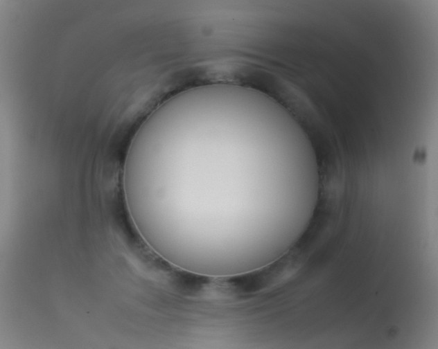 X0000113260603200909171651