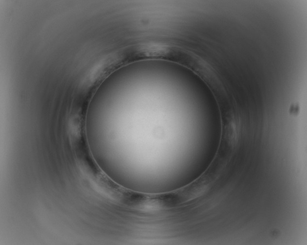 X0000113260604200909171651