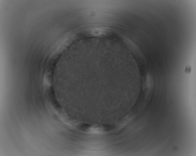 X0000113260606200909171651