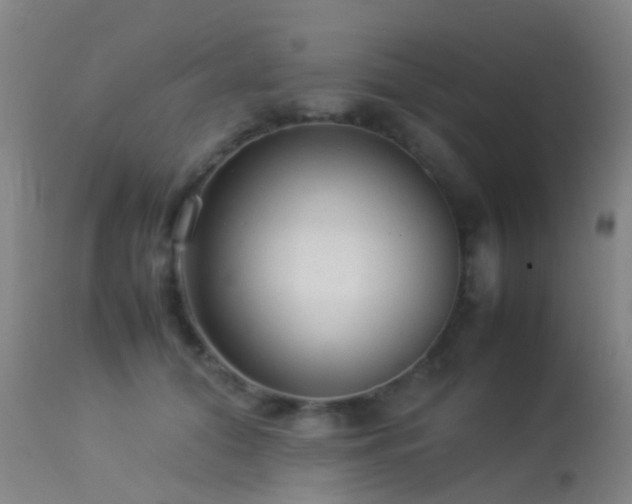 X0000113260608200909171651