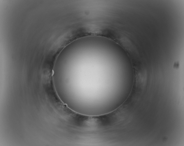 X0000113260609200909171651