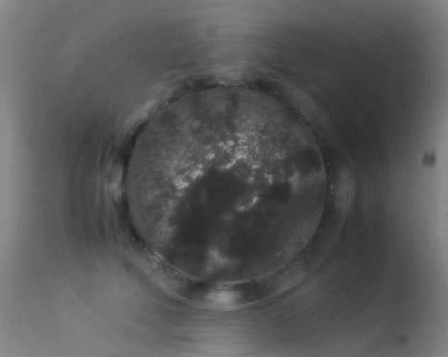 X0000113260610200909171651