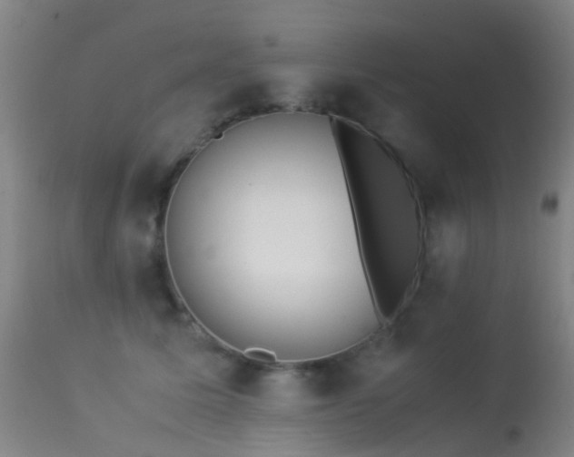 X0000113260611200909171651