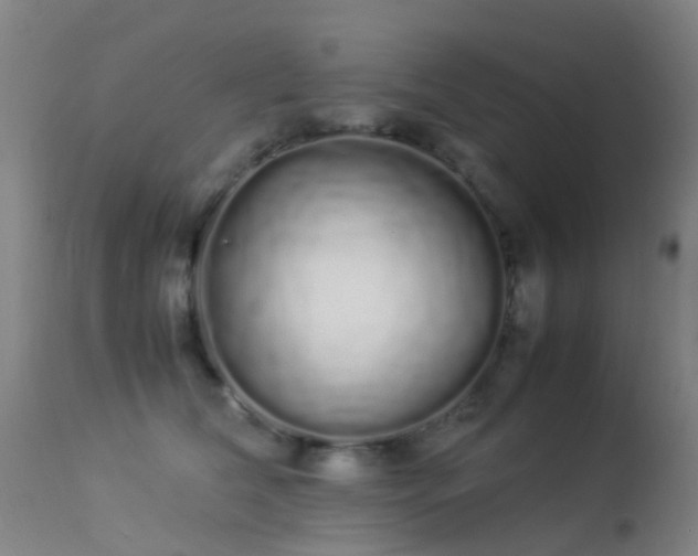 X0000113260612200909171651