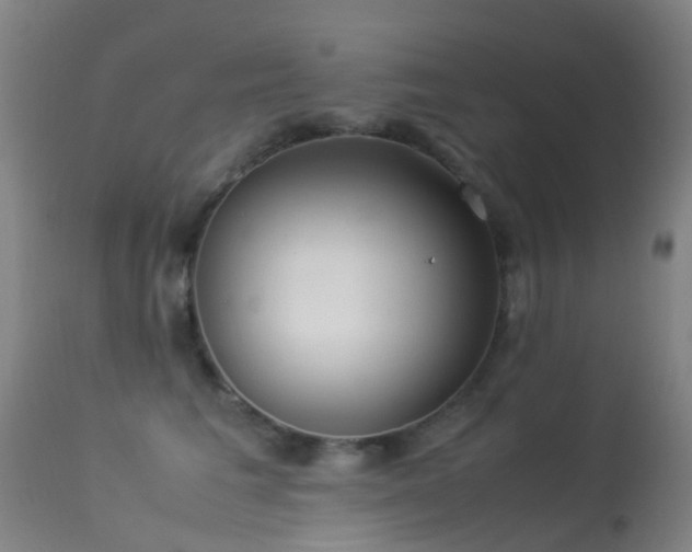 X0000113260613200909171651