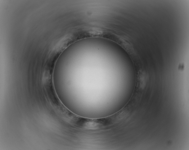 X0000113260614200909171651