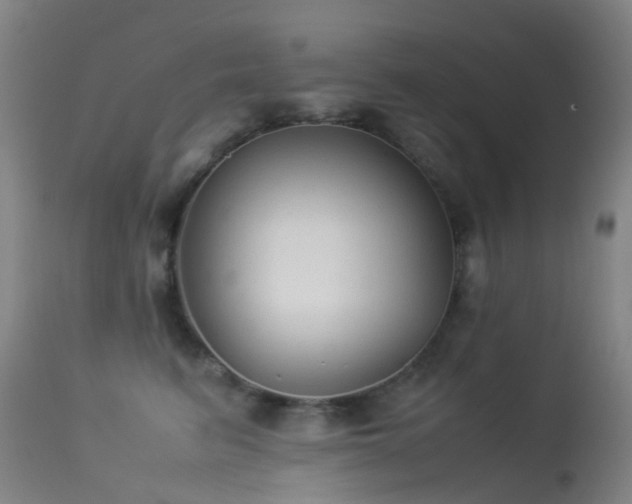 X0000113260615200909171651