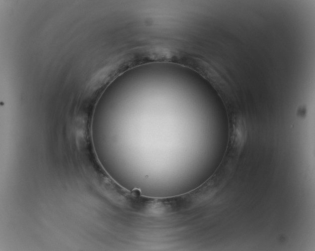 X0000113260616200909171651