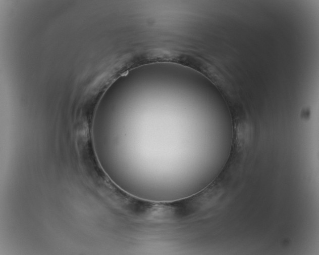 X0000113260617200909171651