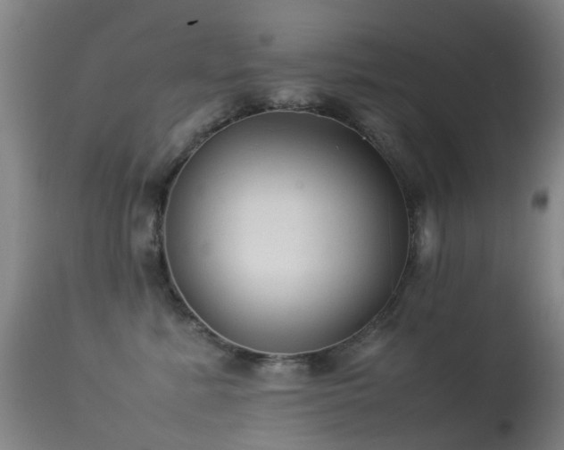 X0000113260619200909171651