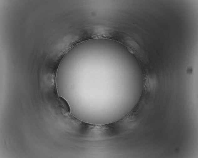 X0000113260621200909171651