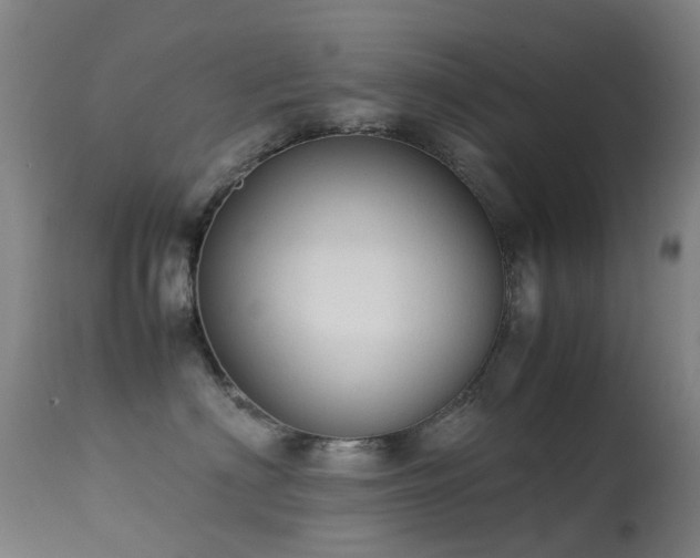 X0000113260622200909171651