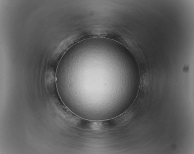 X0000113260623200909171651