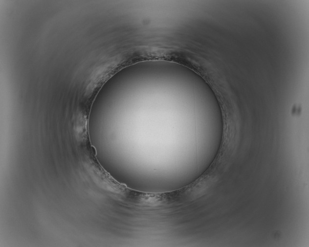 X0000113260624200909171651