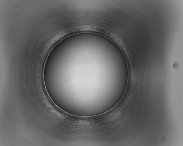 X0000113260625200909171650