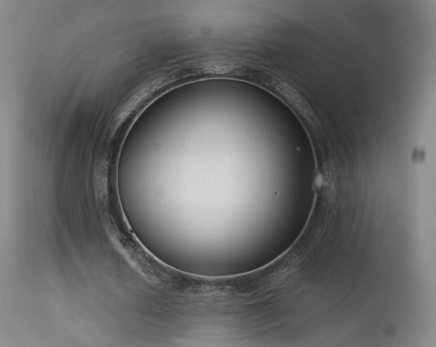 X0000113260626200909171650