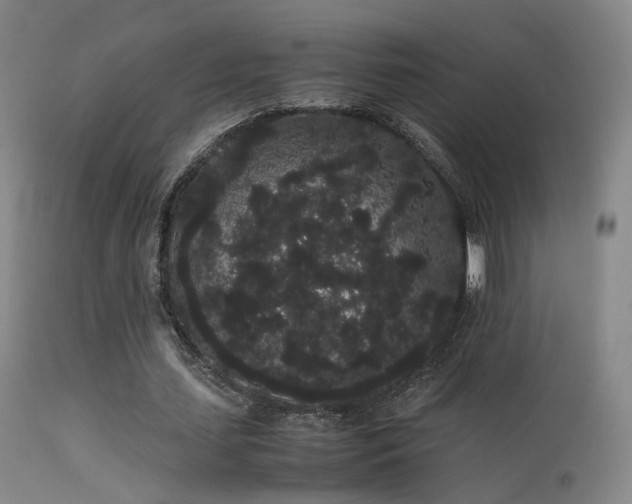 X0000113260627200909171650