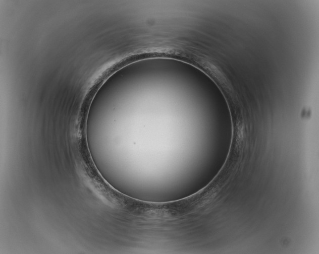 X0000113260628200909171650