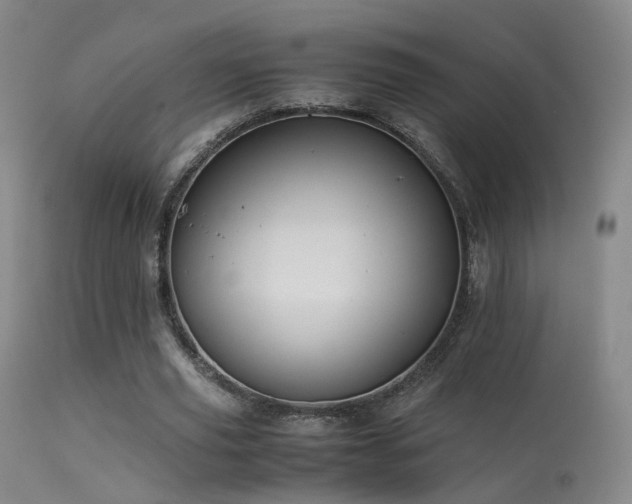 X0000113260629200909171650