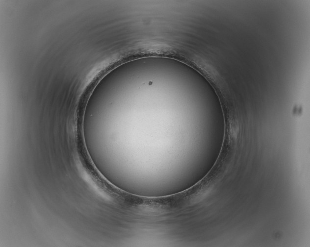 X0000113260630200909171650