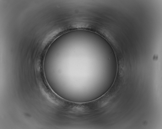 X0000113260631200909171650