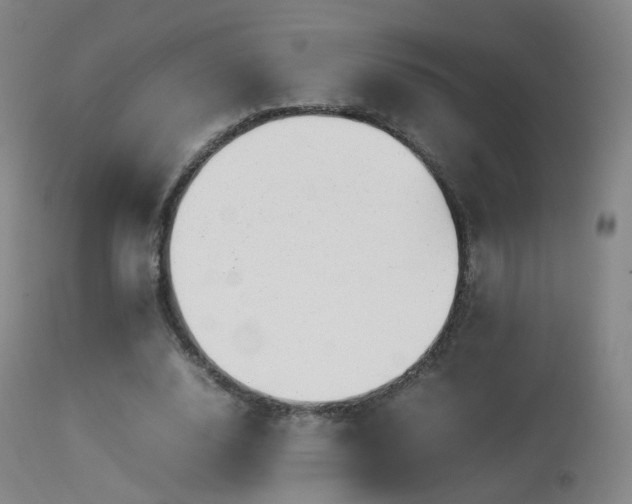 X0000113260632200909171650