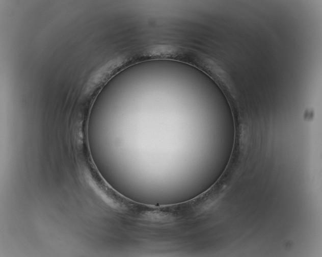 X0000113260633200909171650