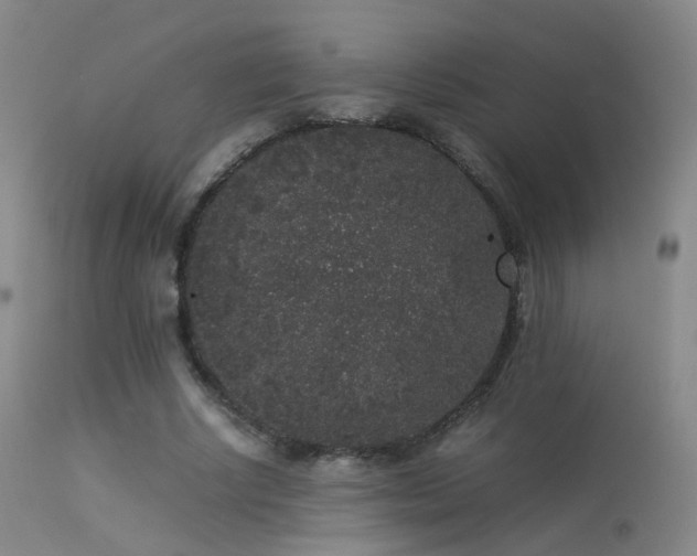 X0000113260634200909171650