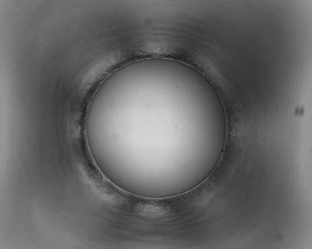 X0000113260635200909171650