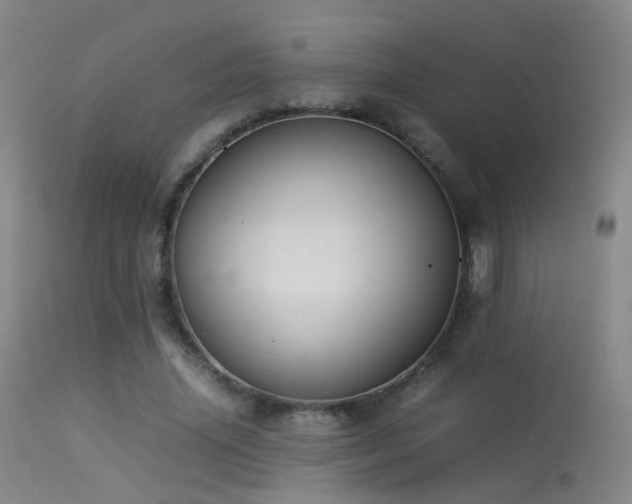 X0000113260636200909171650