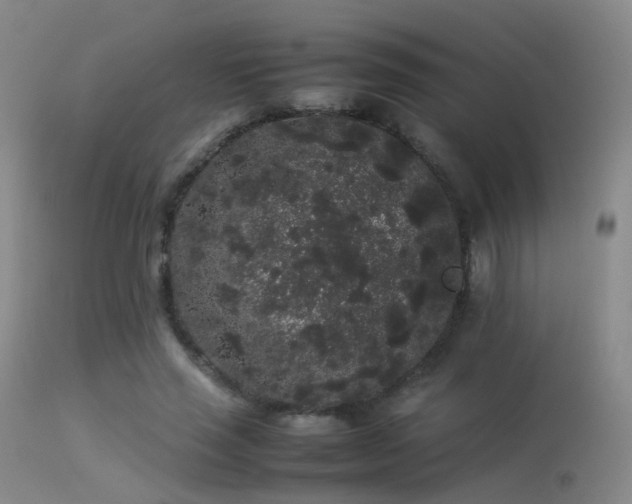 X0000113260637200909171650