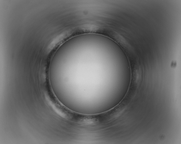 X0000113260638200909171650