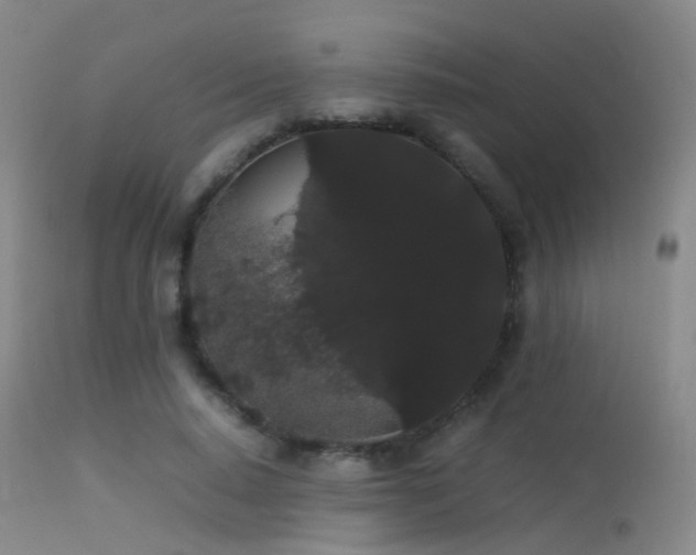 X0000113260640200909171650