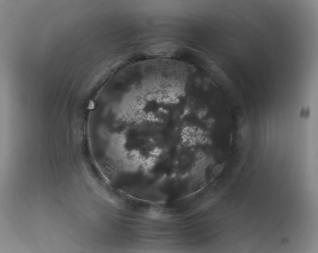 X0000113260641200909171650