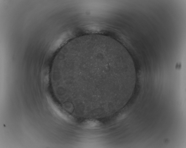 X0000113260642200909171650