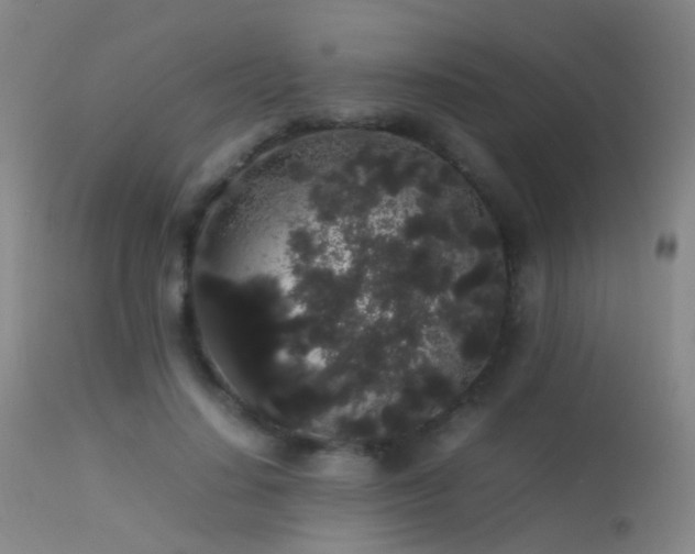 X0000113260644200909171650