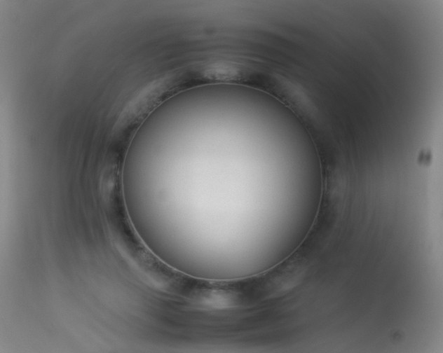 X0000113260645200909171650